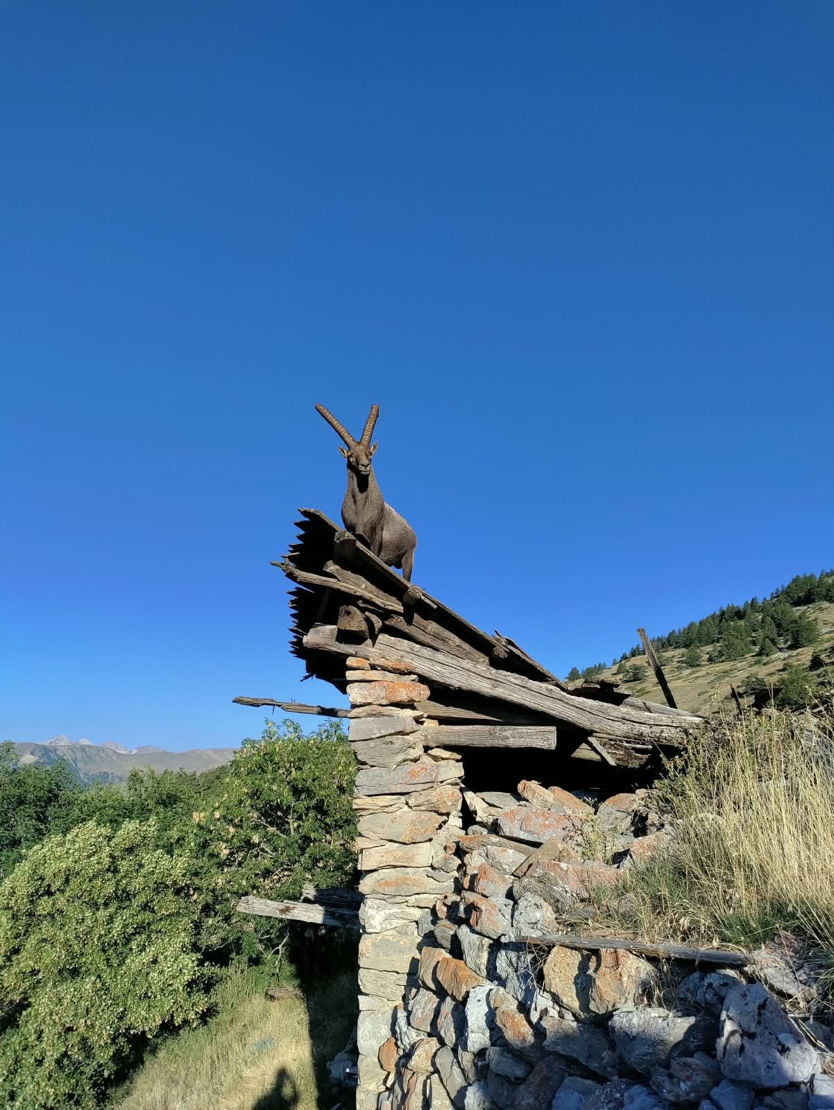 Alta Via dei Re: Alpi Marittime, foto 9